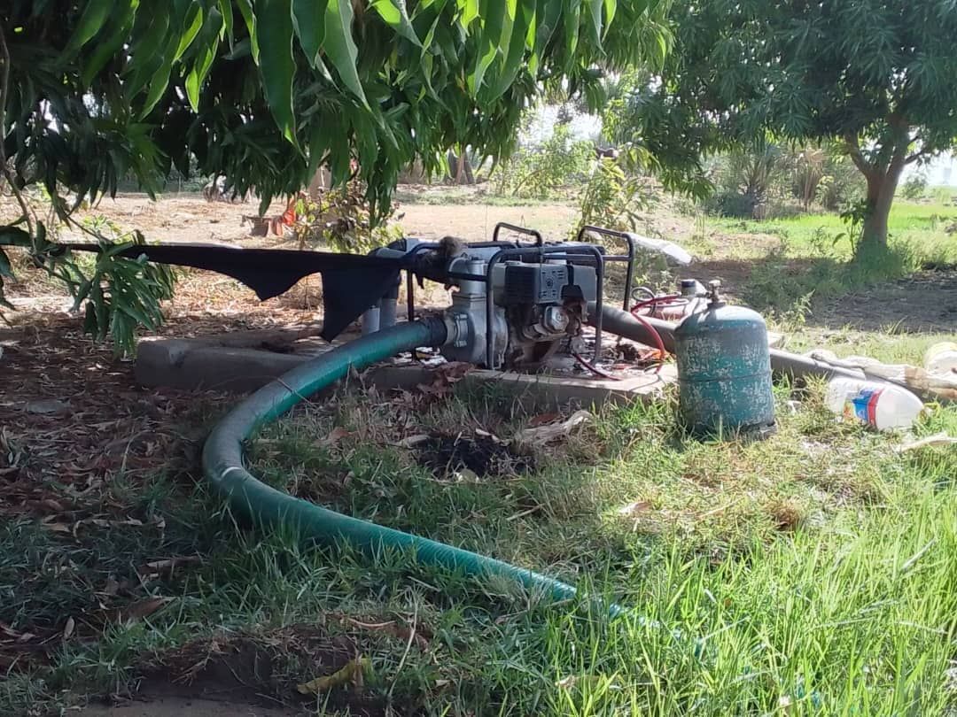 Petits périmètres irrigués en réseau californien — photo 1 sur 4